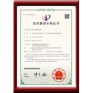 面罩式微網(wǎng)霧化器